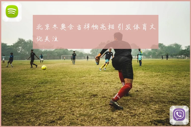 北京冬奥会吉祥物亮相 引发体育文化关注