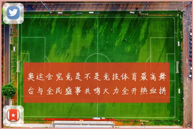 奥运会究竟是不是竞技体育最高舞台与全民盛事共鸣火力全开热血拼