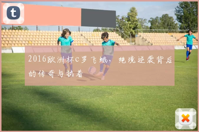 2016欧洲杯c罗飞蛾，绝境逆袭背后的传奇与执着