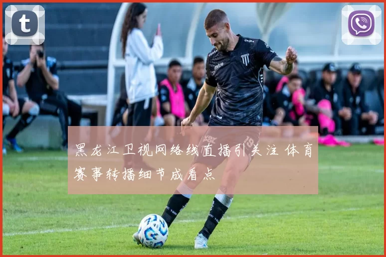 黑龙江卫视网络线直播引关注 体育赛事转播细节成看点