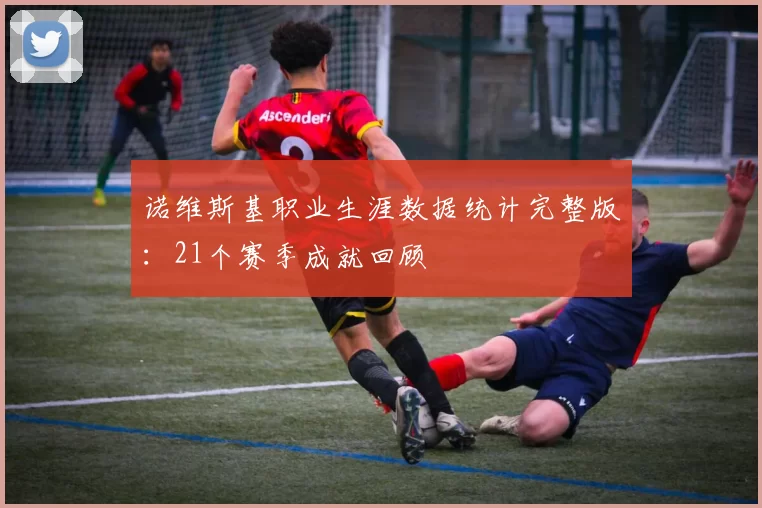 诺维斯基职业生涯数据统计完整版：21个赛季成就回顾